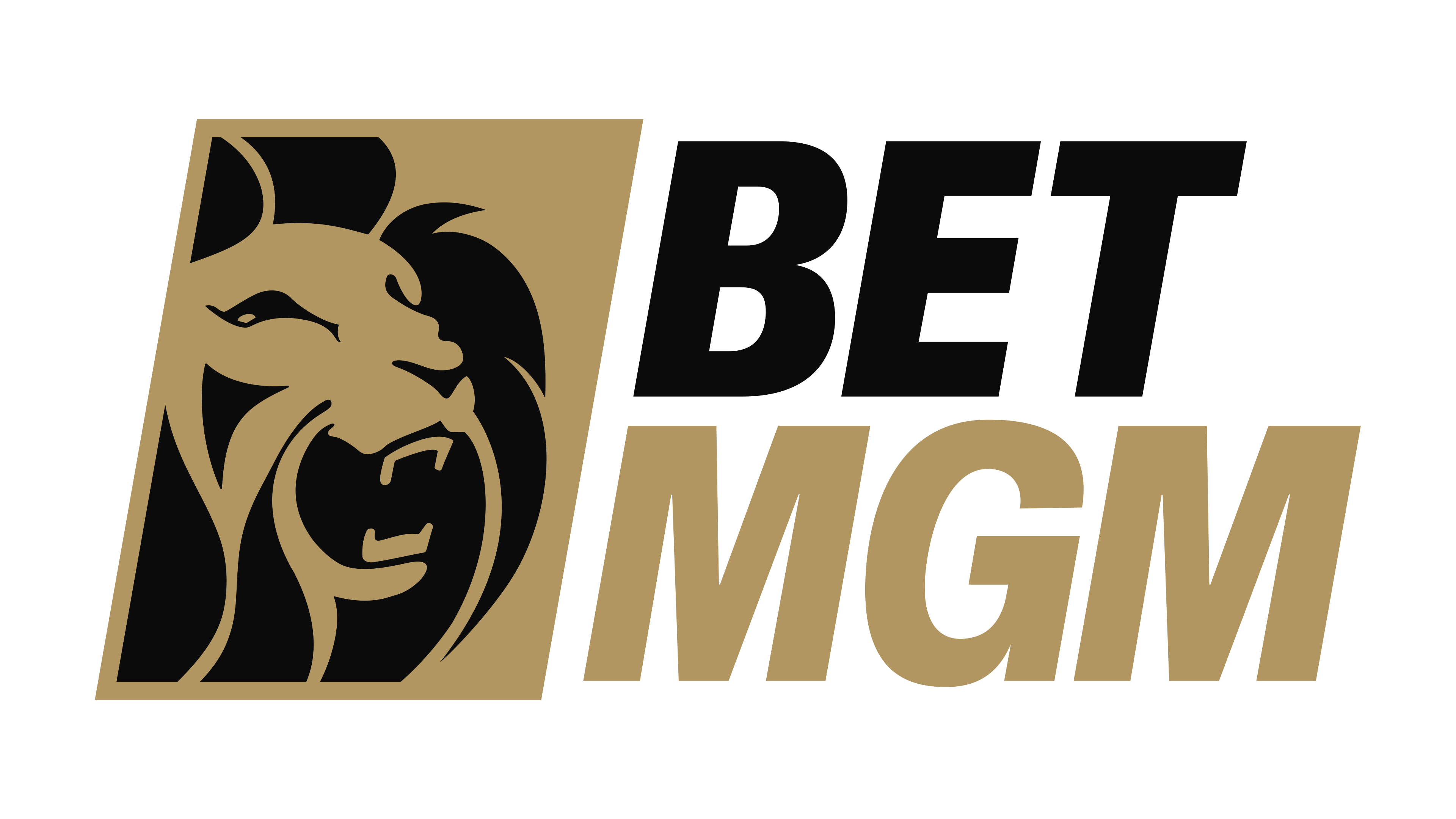 Betmgm casino Nederland -【Officiële website en $1000 bonus